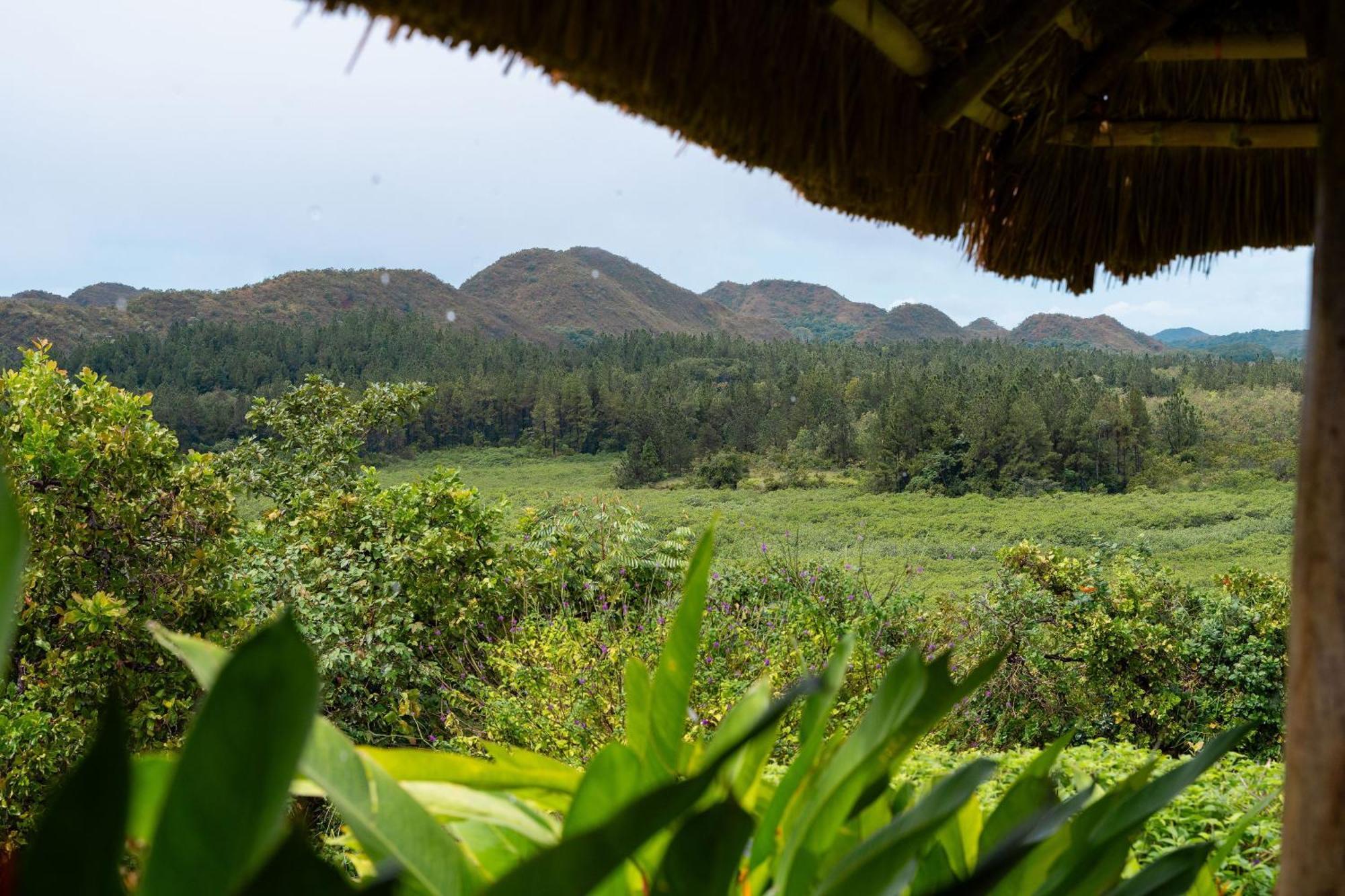 El Regalo Resort โบกา ชิกา ภายนอก รูปภาพ